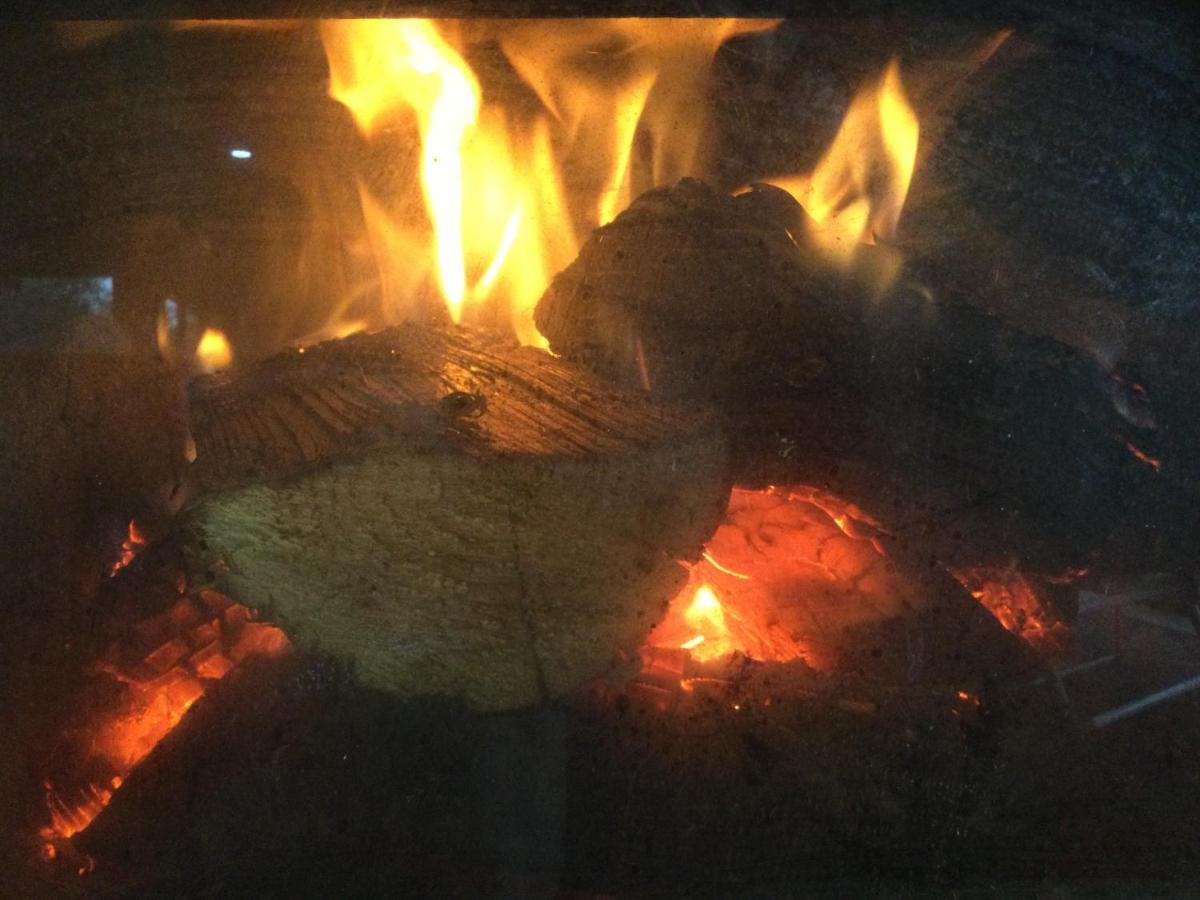 Whakaipo Bay Cabin Retreat Taupo Zewnętrze zdjęcie