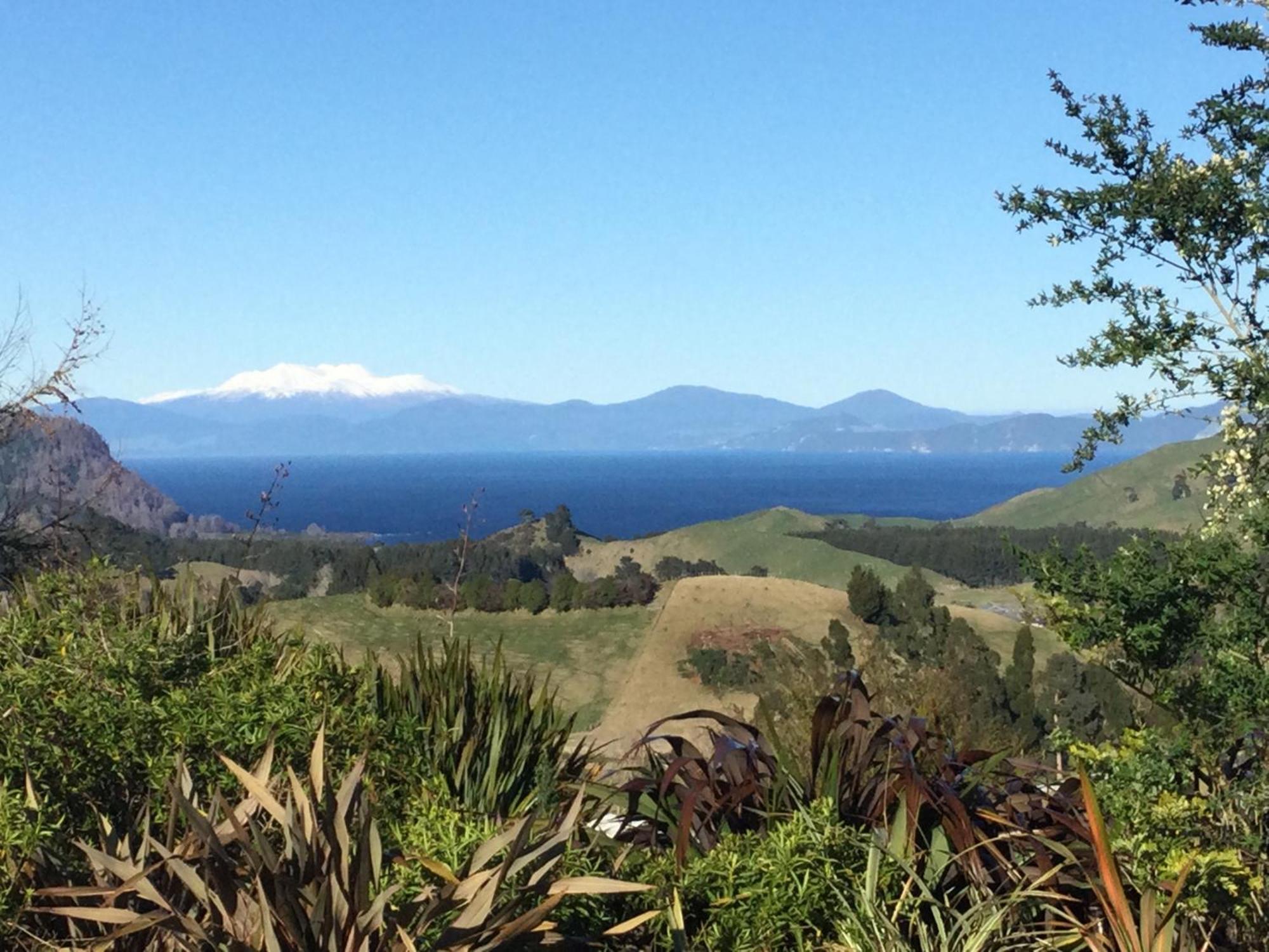 Whakaipo Bay Cabin Retreat Taupo Zewnętrze zdjęcie